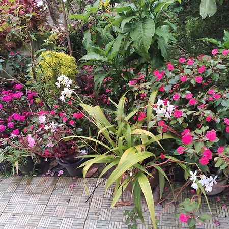 Soly'S Villa Homestay Munnar Bagian luar foto