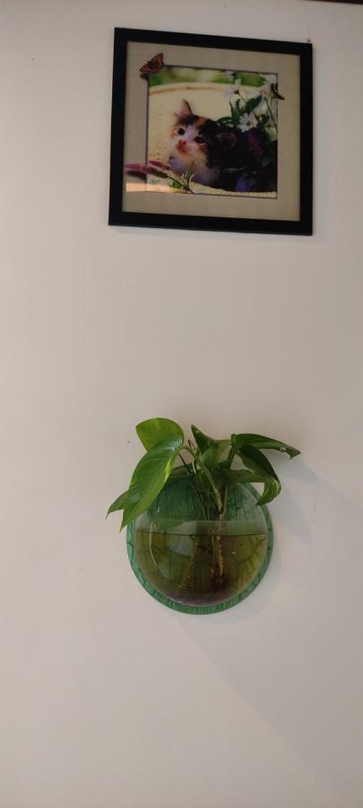 Soly'S Villa Homestay Munnar Bagian luar foto