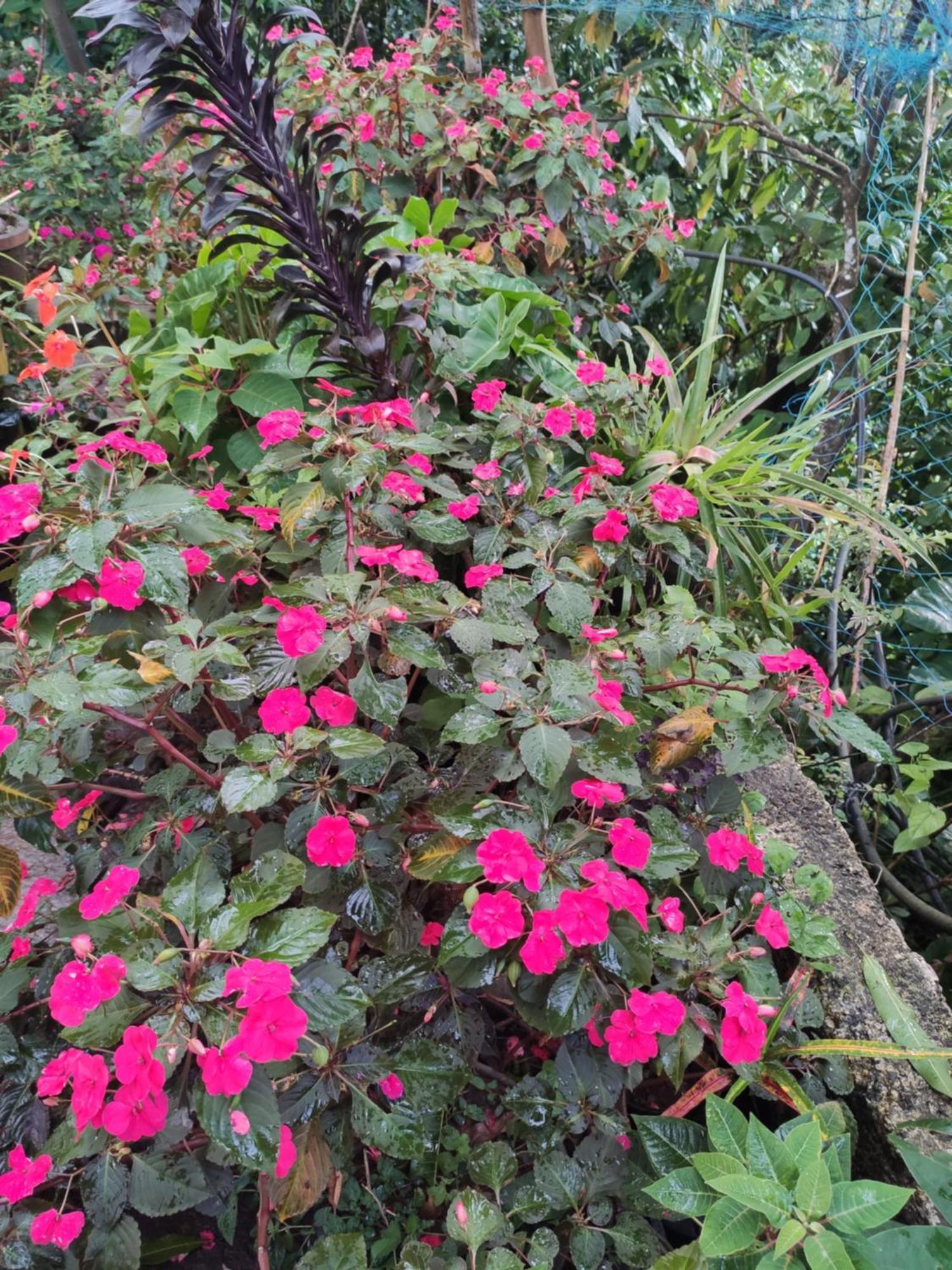 Soly'S Villa Homestay Munnar Ruang foto