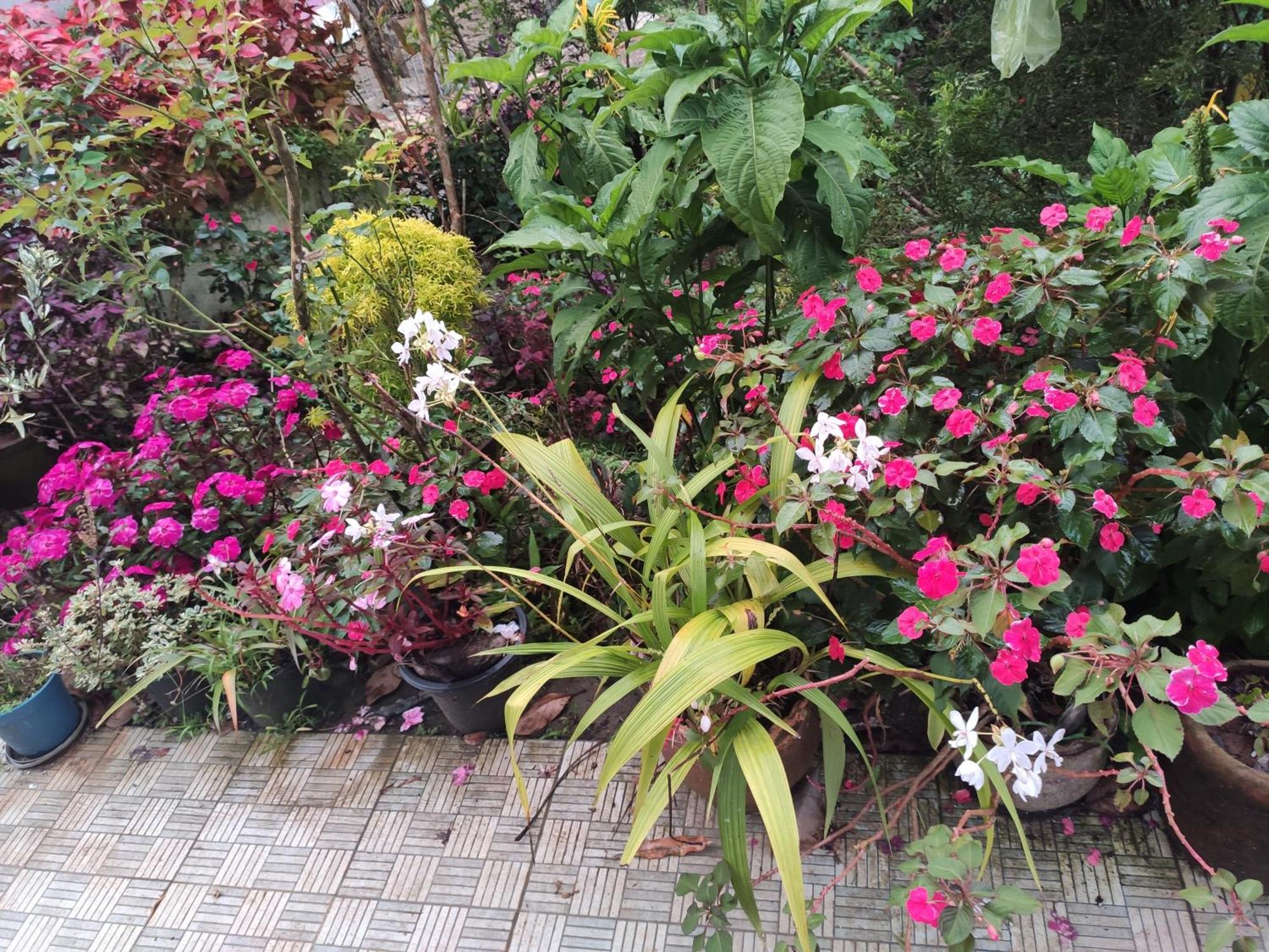 Soly'S Villa Homestay Munnar Bagian luar foto
