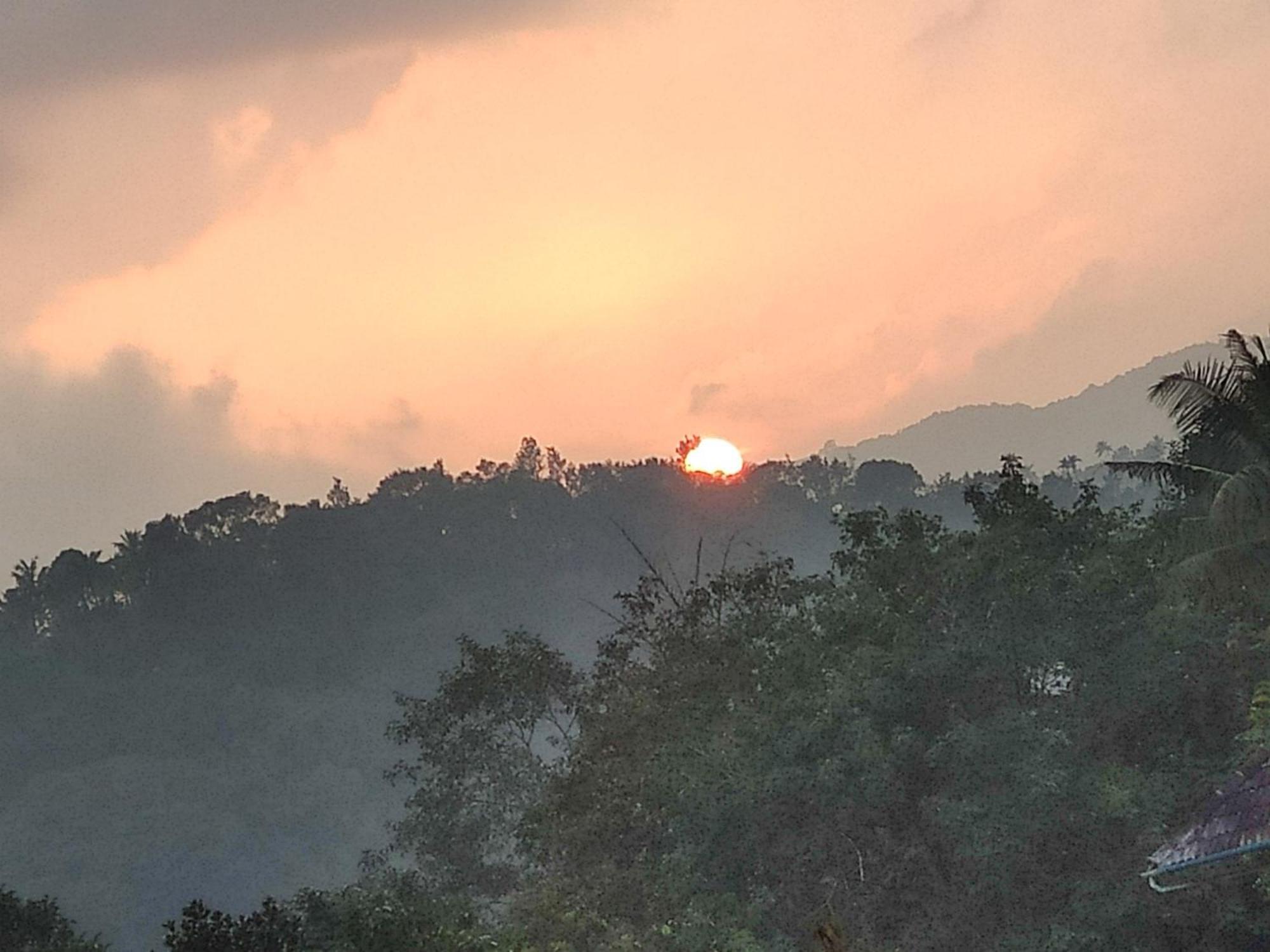 Soly'S Villa Homestay Munnar Bagian luar foto